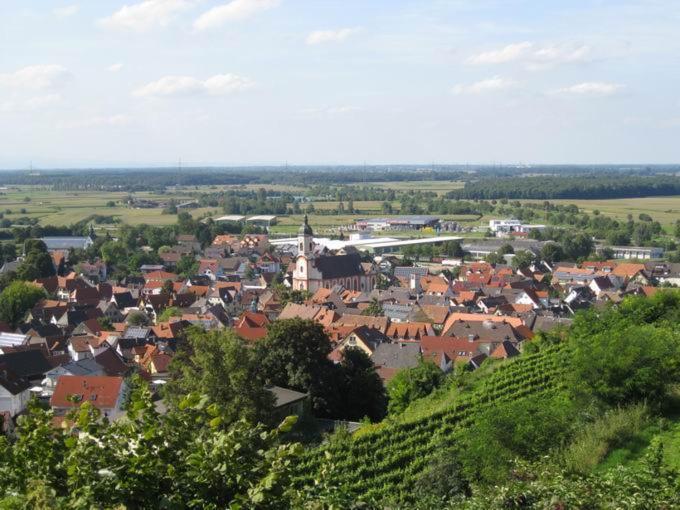 Gashthaus Zur Arche Hotel Riegel am Kaiserstuhl Exterior photo